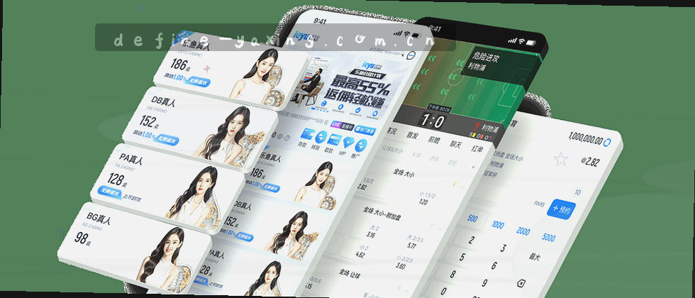 隐私盾加密数据边界